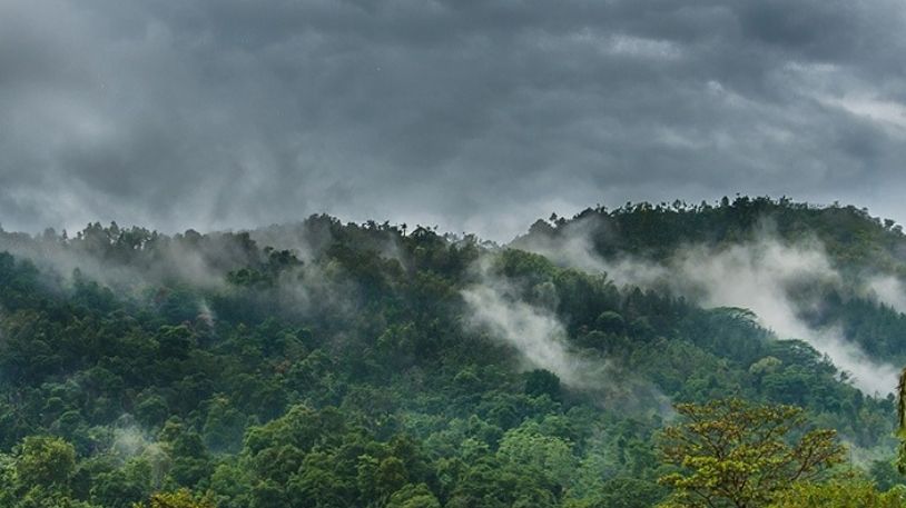 Knuckles Forest Reserve